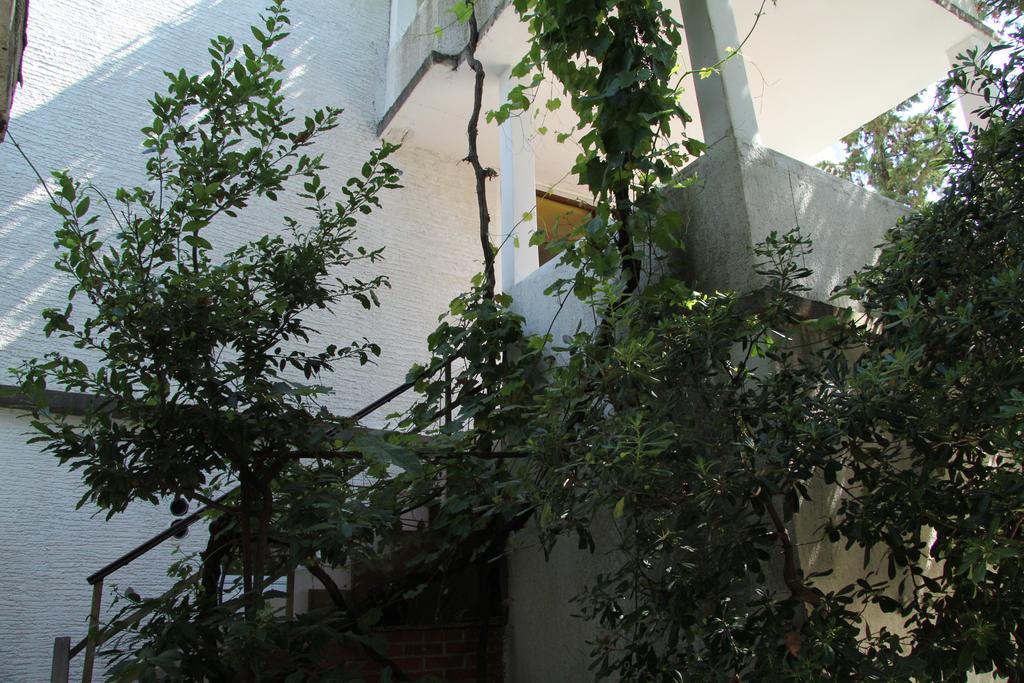 Novalja Guesthouse Economy Rooms المظهر الخارجي الصورة